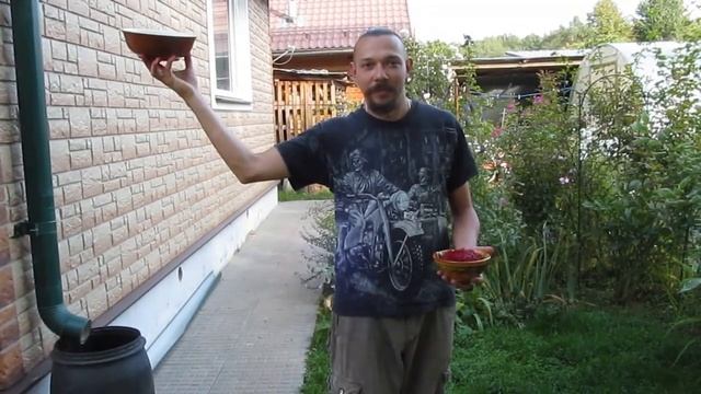Натираем хрен для пользы здоровья. Со свеклой. смотреть онлайн