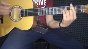 Песни под гитару. Птицы белые мои аккорды