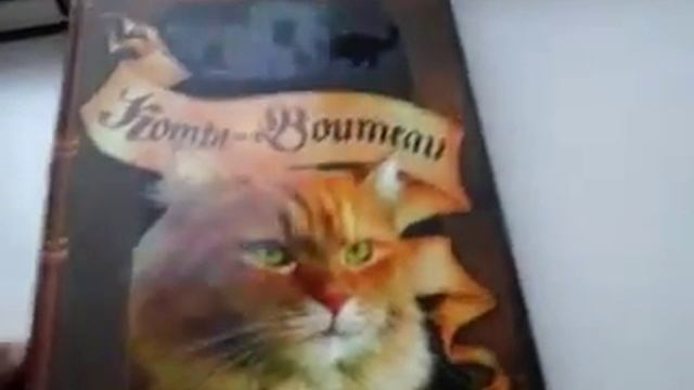 Обзор книг коты воители и три книги на новый год смотреть онлайн