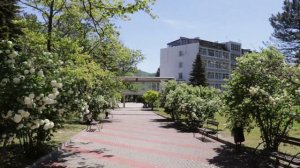 Архипо-Осиповка 2020/Парк санатория Архипо-Осиповка