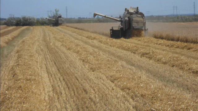 2013-as év összefoglaló Mtz 820,Mtz 80