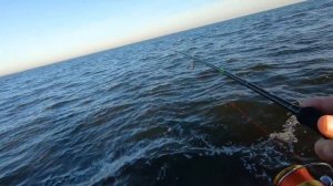 Судак разрывает мандулы на части! Клюет с каждого заброса! Рыбалка на мандулу