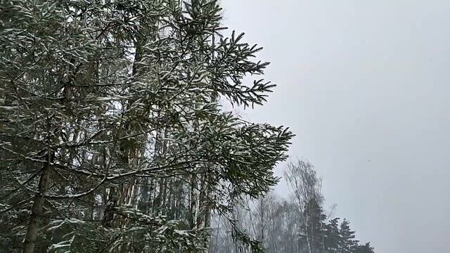 Снежная весна 8 марта в Сколково. смотреть онлайн
