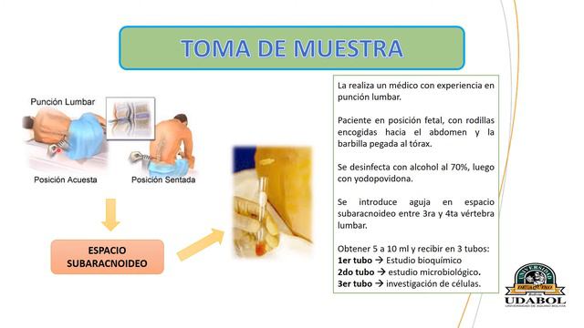 TEMA 12 IDENTIFICACIÓN BACTERIANA 2 PARTE смотреть онлайн