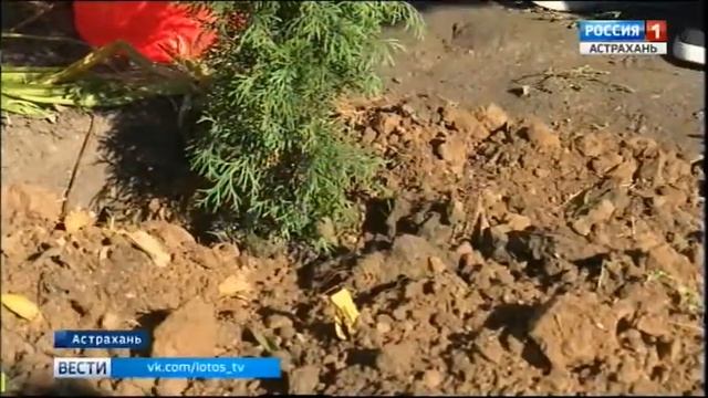 В Астрахани зародилась еще одна традиция - праздничные семейные соревнования смотреть онлайн