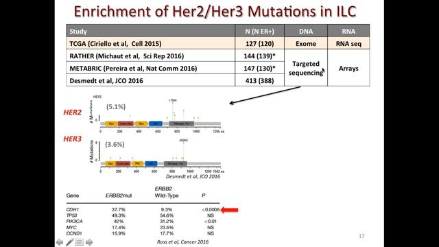 Invasive Lobular Carcinoma: Highlights from the First Ever ILC Symposium смотреть онлайн