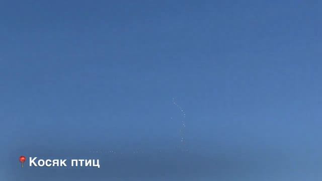 VLOG/Едем на каток/Снова Макдональдс/Катаемся на балонах/Сувениры из Санкт-Петербурга и Минска смотреть онлайн