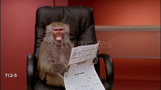 712 5 p1 смотреть онлайн