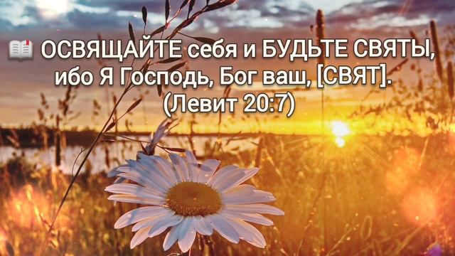🎼Прежде создания мира ... Он был готов... смотреть онлайн