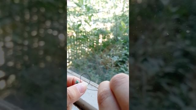 как сплести кольцо лягушка ? смотреть онлайн