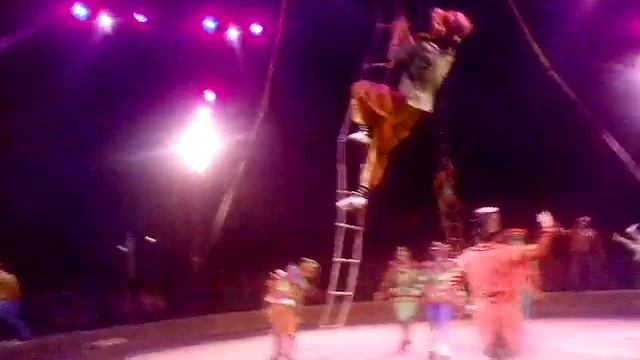 Трюки цирка безграничны!!! смотреть онлайн