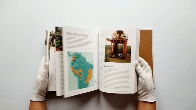 Настоящий свежий кофе. Как выбрать, обжарить, смолоть и приготовить идеальную чашку смотреть онлайн