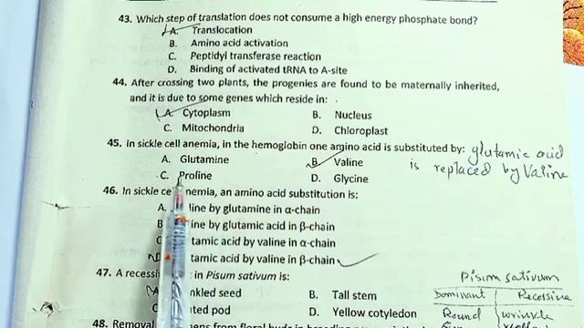 Genetics MCQS with Answers #5 Solved mcqs genetics смотреть онлайн