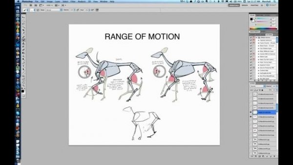 Animal Anatomy. Marshall Vandruff & Ryan Kingslien(русская озвучка) ч 1