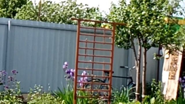 Декоративный мостик своими руками, 27.05.23