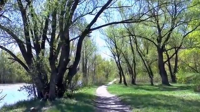 3 правила на "РАДОНИЦУ" 11 мая 2021 года. Что НУЖНО сделать, что КАТЕГОРИЧЕСКИ ЗАПРЕЩЕНО в этот ден смотреть онлайн