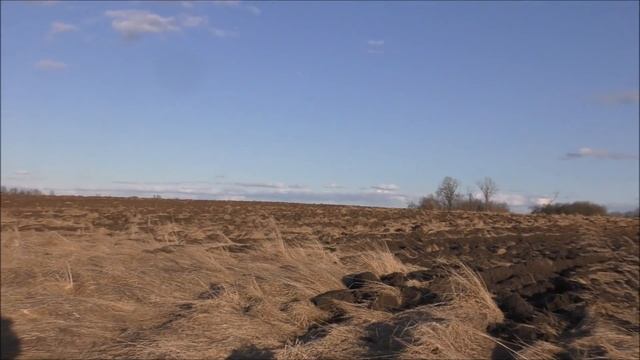 Открытие охоты  Гуси не дали нам ни шанса!!!