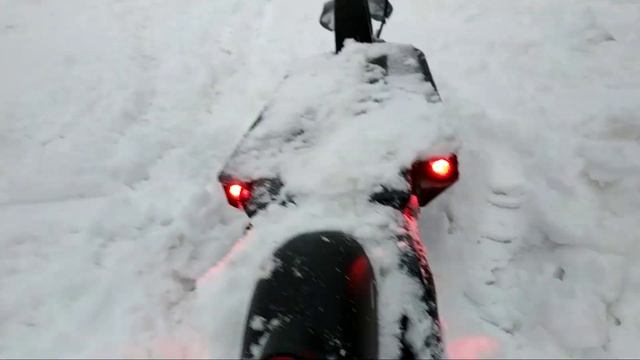 Dualtron Raptor зимой