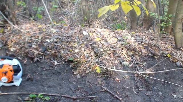 Лучшая воздуходувка для дома STIHL BG 86 смотреть онлайн