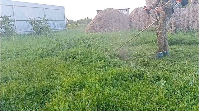 Перестаньте дёргать газ! Работайте мотокосой правильно! смотреть онлайн