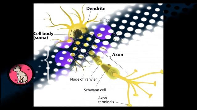 What is Neural Network? (In Tamil) Neurons and Neural Networks смотреть онлайн