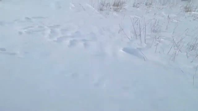 Поездка на Просторе-2 глазами водителя смотреть онлайн