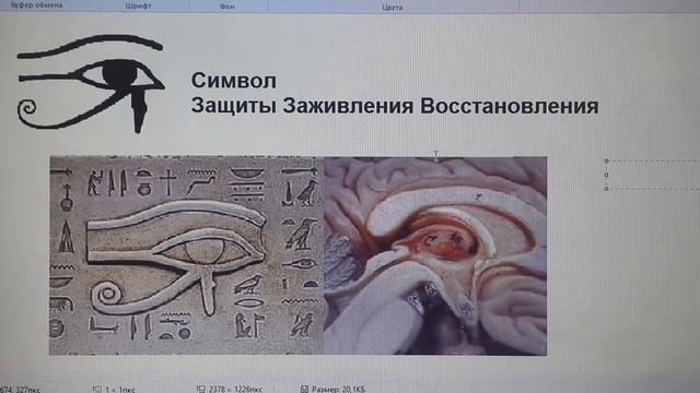ВСЕВИДЯЩЕЕ ОКО ГДЕ НАХОДИТСЯ! Предназначение шишковидной железы смотреть онлайн