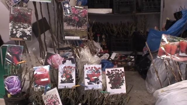 Ландшафтная архитектура. Флористика - 2012 №22 смотреть онлайн