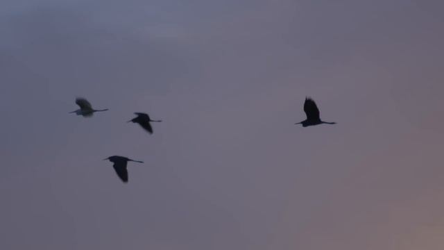 Пароль от гармонии с природой - Клубный город на реке Primaera (ЖК Примавера)