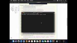 Копирование ключа через КриптоПро CSP 5.0 на Mac OS.