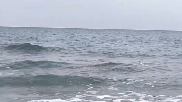 Морской воздух ощущается даже на территории отеля смотреть онлайн