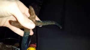 Снятие Бака ра Рено Меган 2 дизель