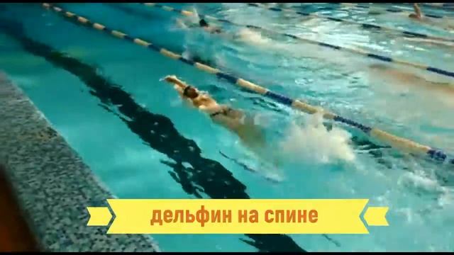 Как научиться плавать дельфином. Ноги дельфин. How to swimm butterfly? смотреть онлайн