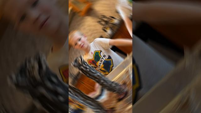 Семейный путеводитель