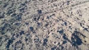 Как подготовить почву для чеснока правильно