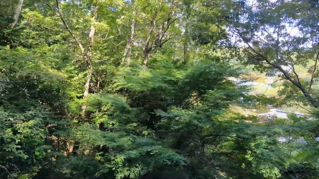 Old Japanese Scenery from a Steam Locomotive.October 2023 смотреть онлайн