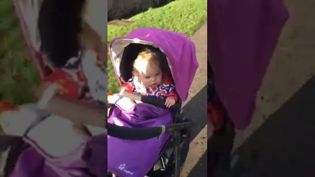Living With... UPPAbaby Cruz смотреть онлайн