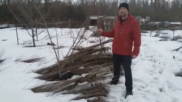 Создаем многосортовое дерево шаг 1 смотреть онлайн