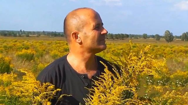 МИХАИЛ КАРМАШ - А ты прости меня любимая!!! смотреть онлайн