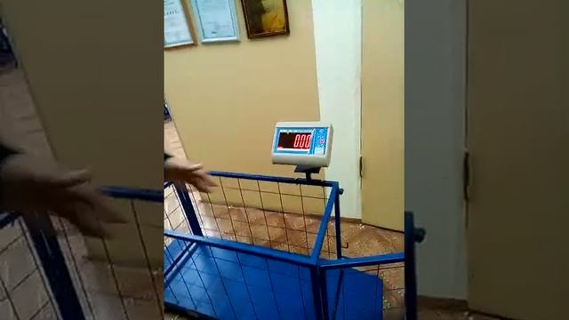 Весы ВСП4-ЖСО (поросята, овцы, птица) смотреть онлайн