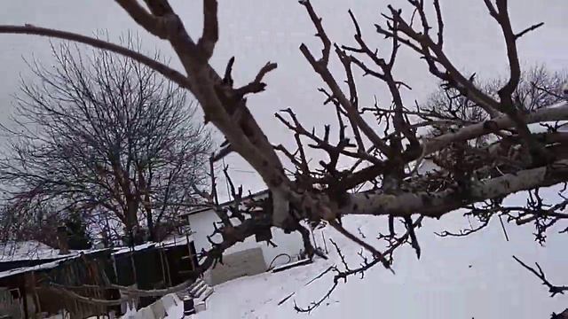 необычный способ по удерживанию кроны смотреть онлайн
