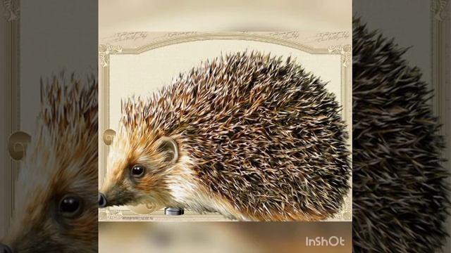 ОУД Как зимуют звери. смотреть онлайн