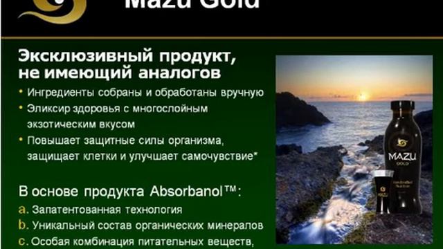 ***Презентация MazuGlobal (1-я часть) - 05 января 2011 г. смотреть онлайн