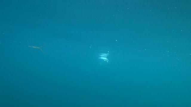 о .Сахалин. На рыбалке Сентябрь 2022 год. смотреть онлайн