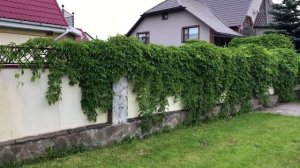 Участок перед домом в стиле минимализм