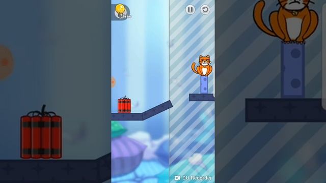 hello cats amazing game смотреть онлайн