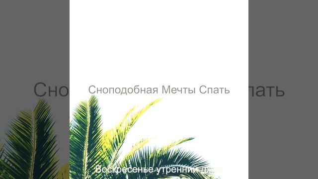 Превосходно (Видение) чтение смотреть онлайн