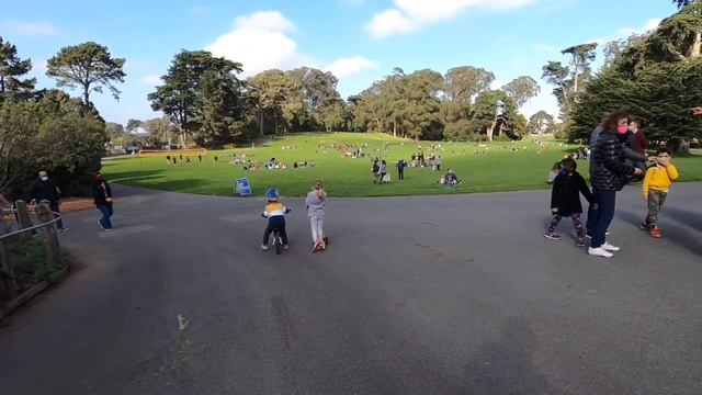 Один день в Сан Франциско: куда сходить с ребенком. (Как вариант) San Francisco смотреть онлайн