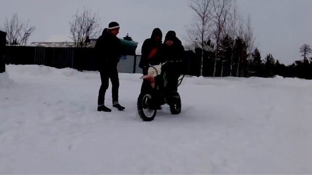 pitbayk смотреть онлайн