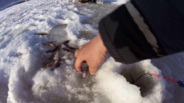 Забытое Городище. смотреть онлайн
